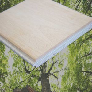 Почему стоит выбрать Arrow Wood?